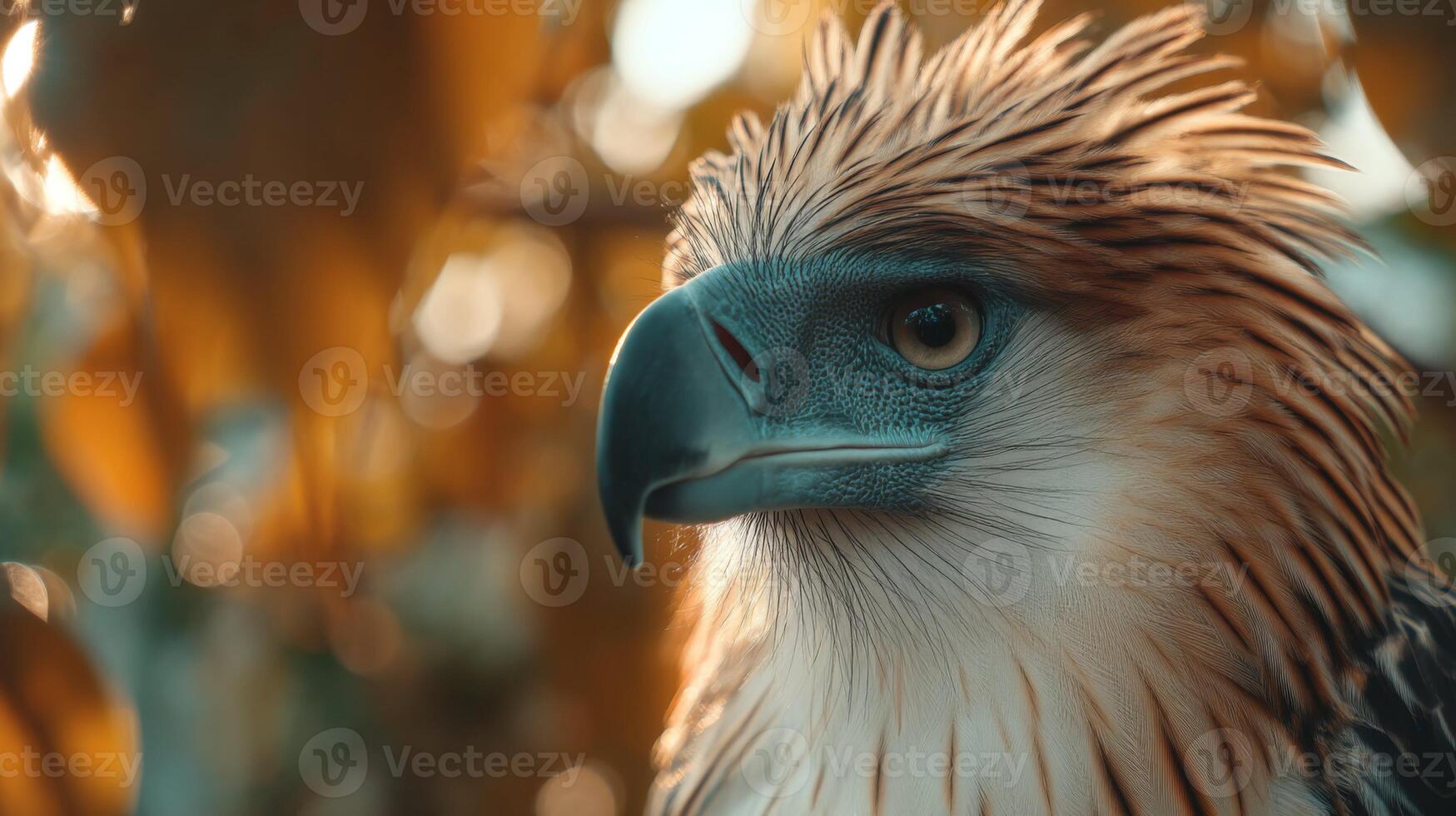 Majestic eagle perched among vibrant foliage, showcasing striking feathers and intense gaze in a natural setting photo