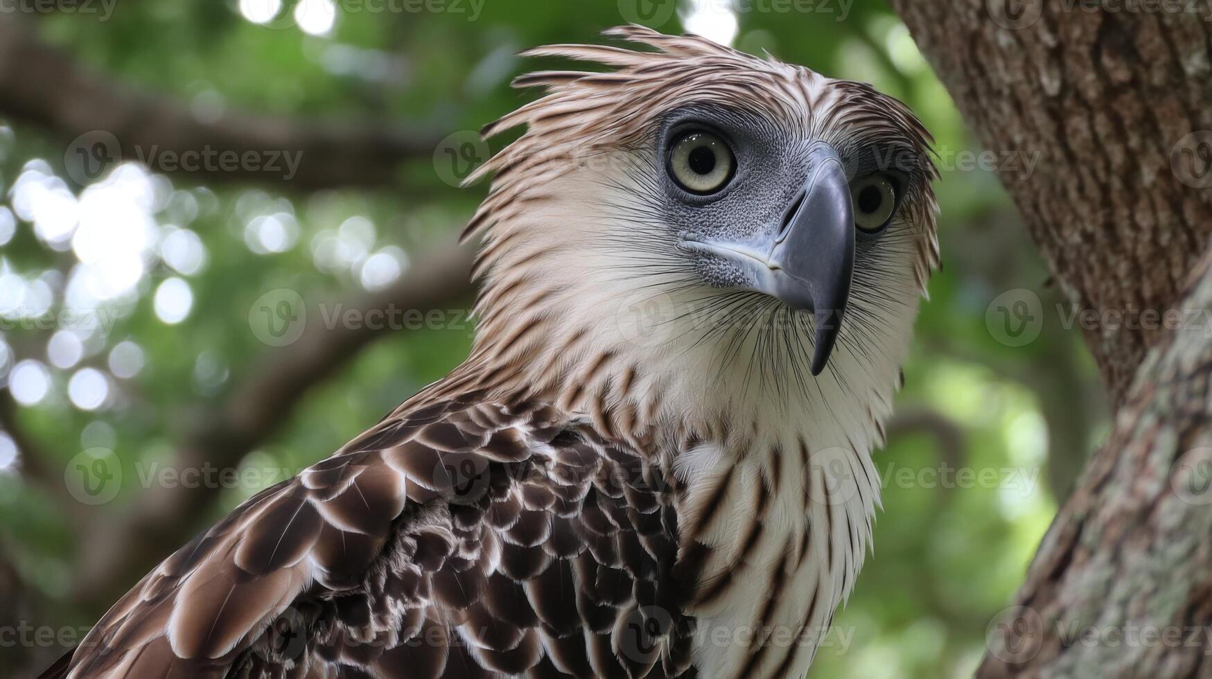 Majestic bird of prey perched on a tree branch showcasing striking feathers and captivating eyes in a lush green background photo
