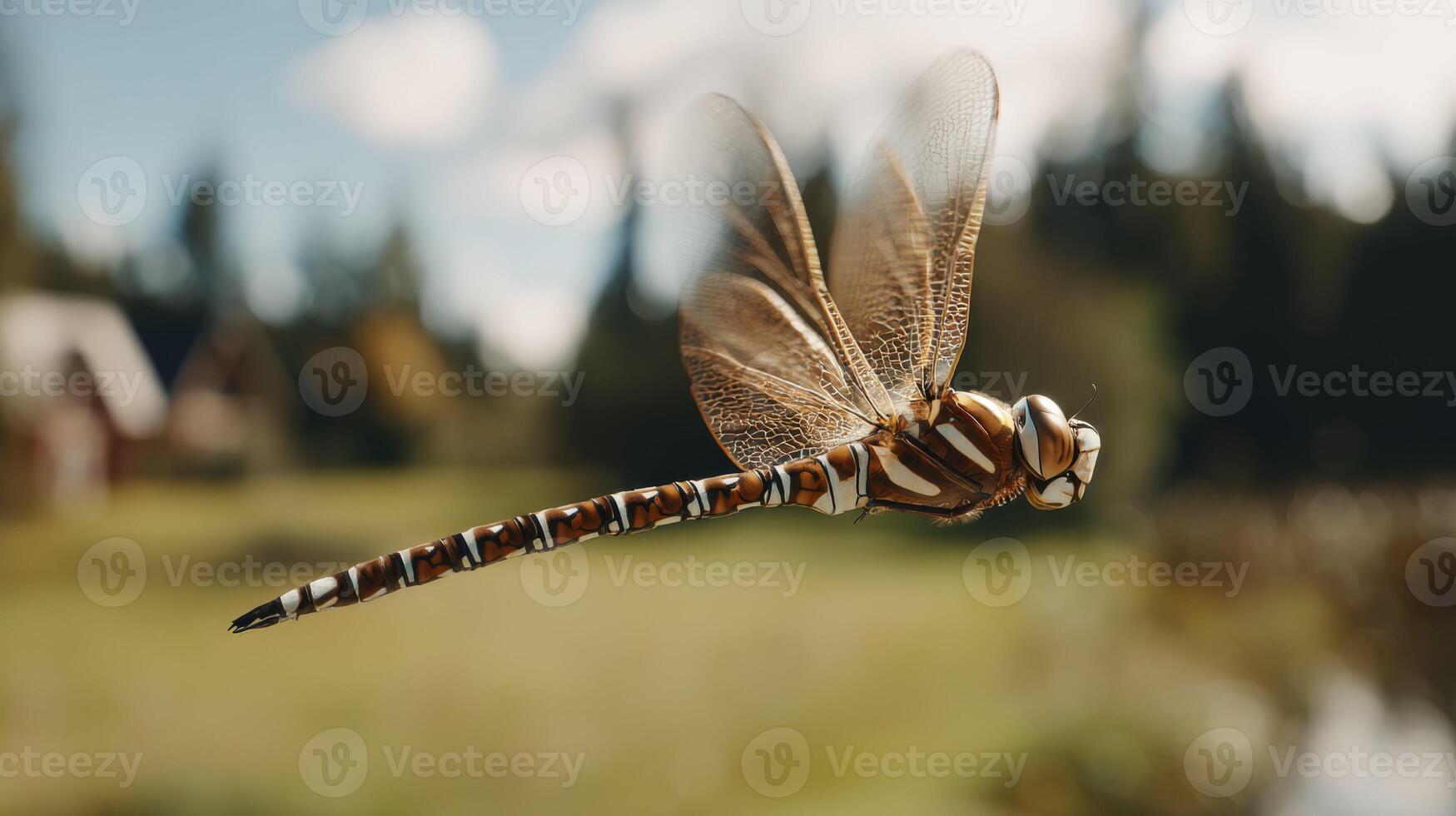 Captivating Close-Up of a Dragonfly in Flight Against a Scenic Nature Background with Soft Bokeh Effect photo