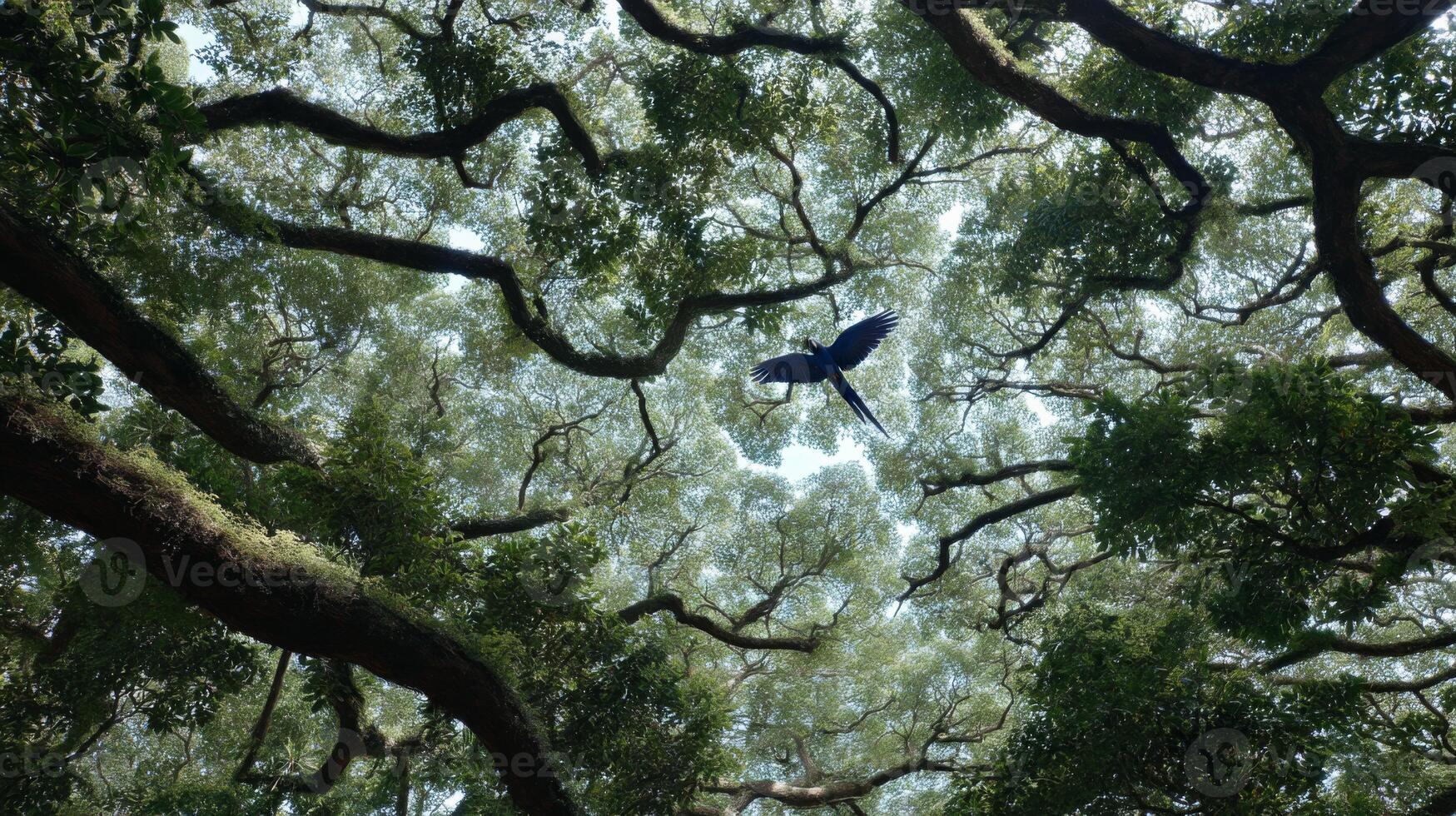 Majestic Blue Bird Flying Above Lush Green Canopy of Trees Under Bright Blue Sky in Enchanting Natural Environment photo