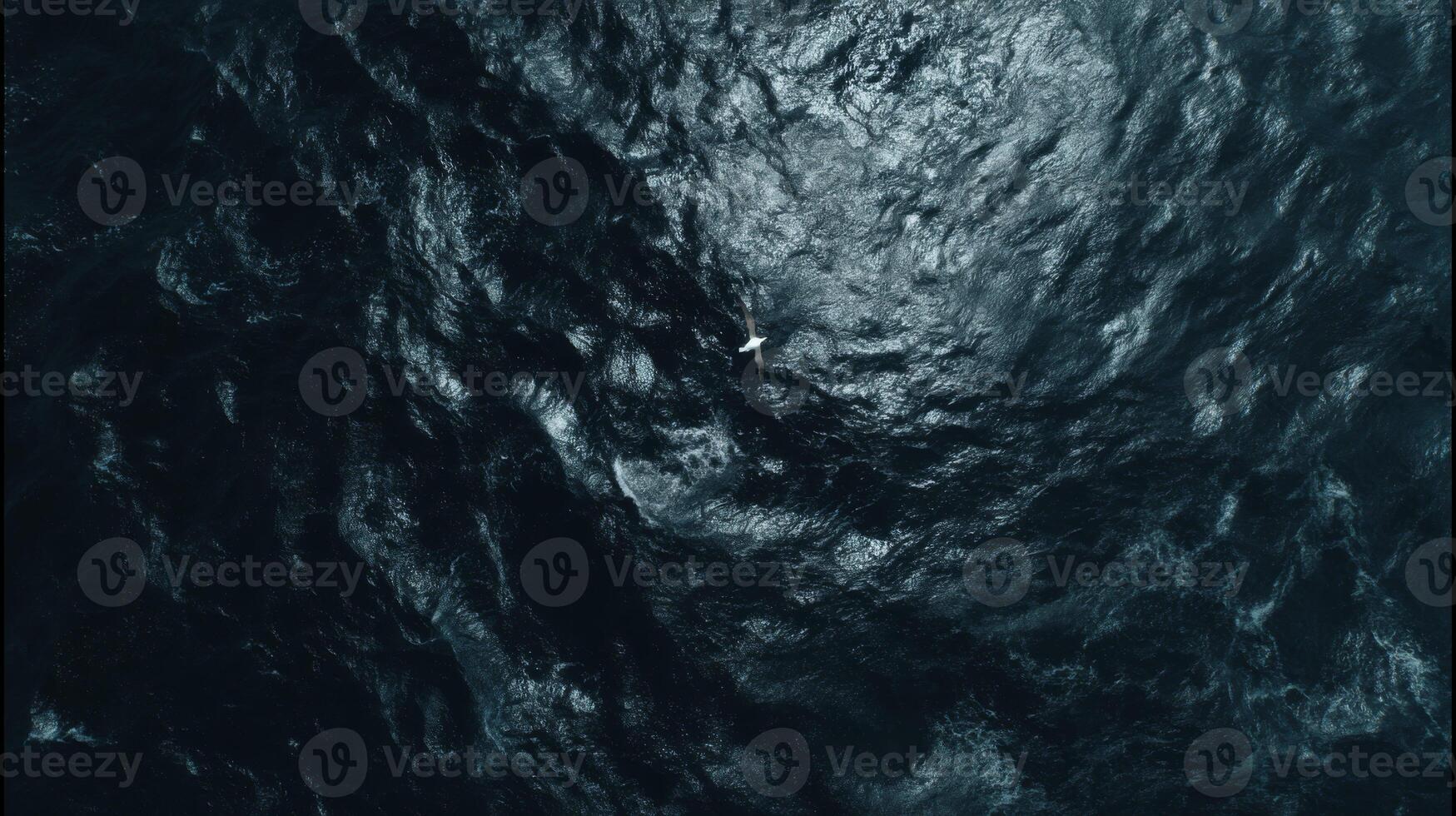 Aerial View of Dark Blue Ocean Waves with a Single White Seagull Soaring Above the Surface in Bright Sunlight photo