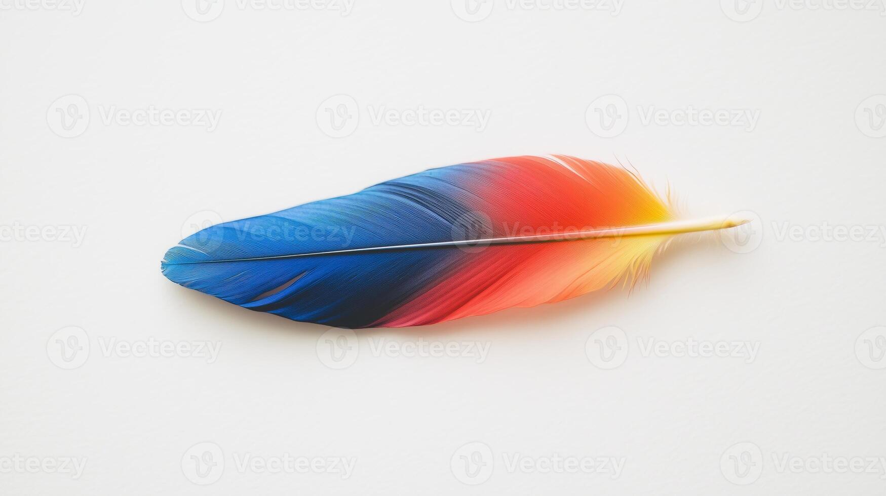 A colorful feather on a white surface photo