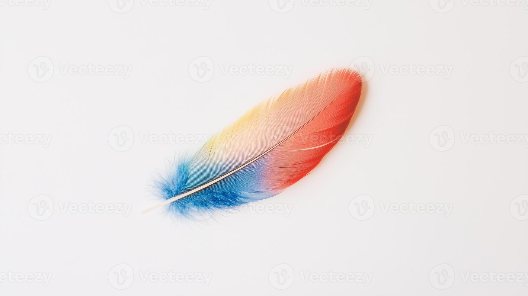 A colorful feather on a white background photo
