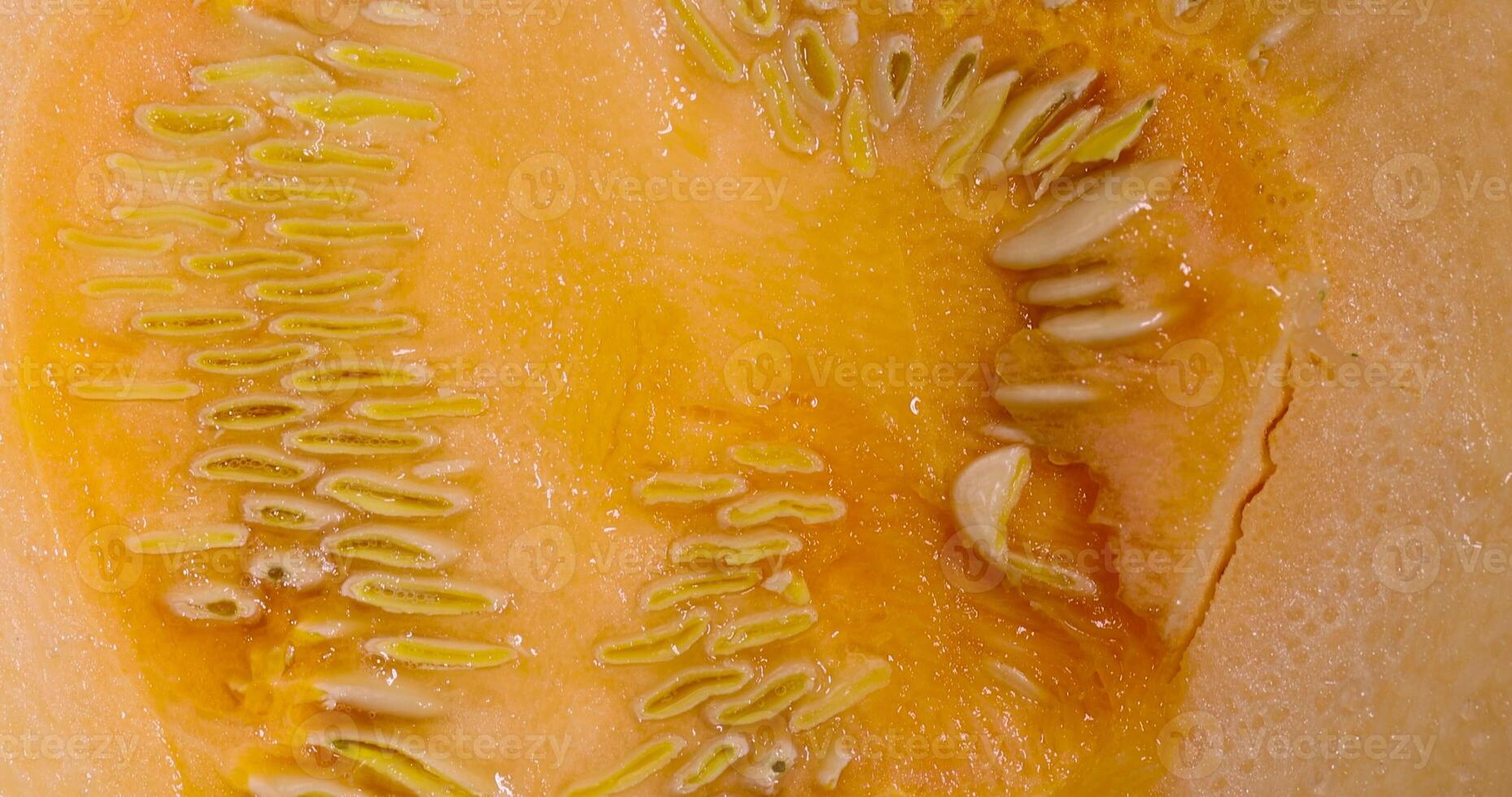 details of a cut pumpkin with orange flesh and seeds photo