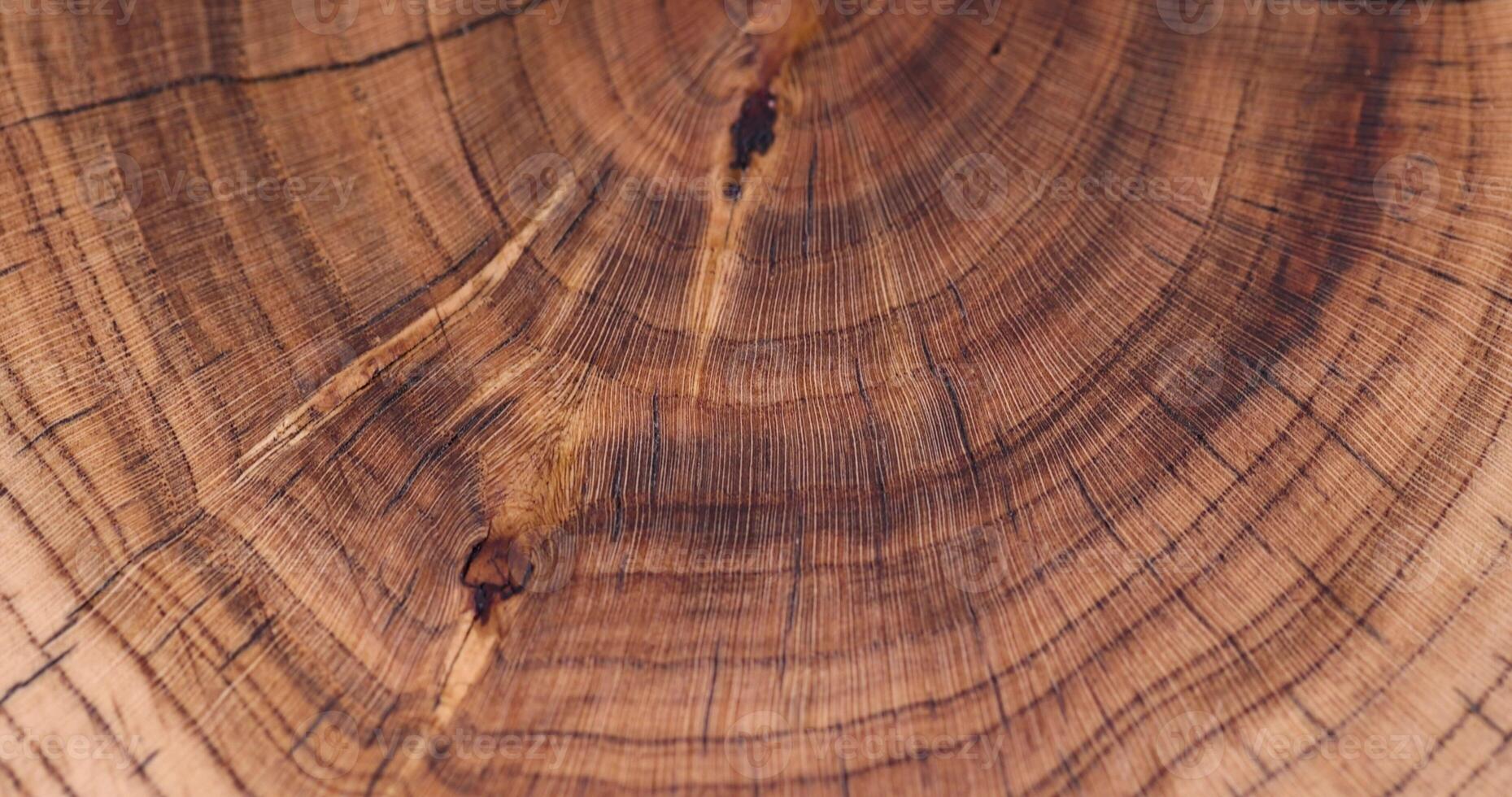 processed beautiful walnut wood used for the manufacture of objects photo