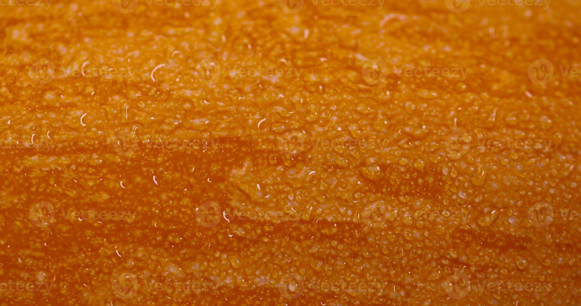 details of the peel of a ripe zucchini wet from water photo