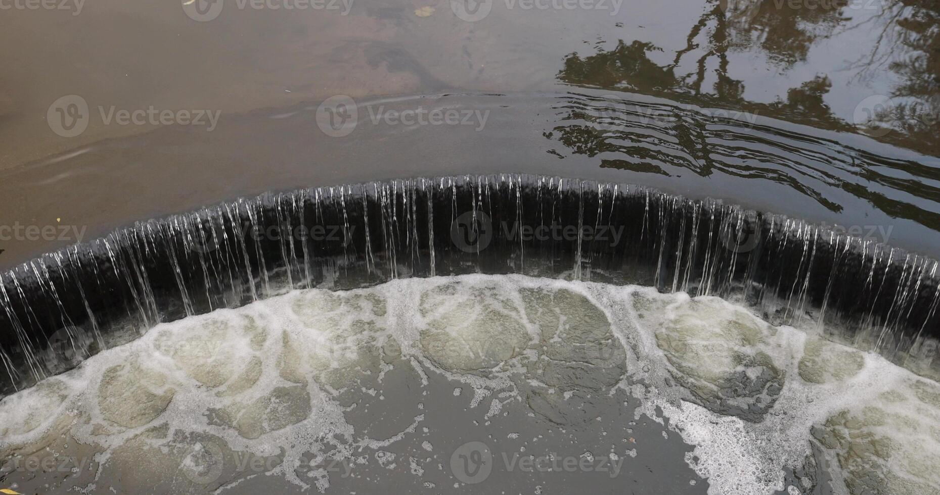 a river with dark water in the autumn season, a tree is reflected in the water, top view photo