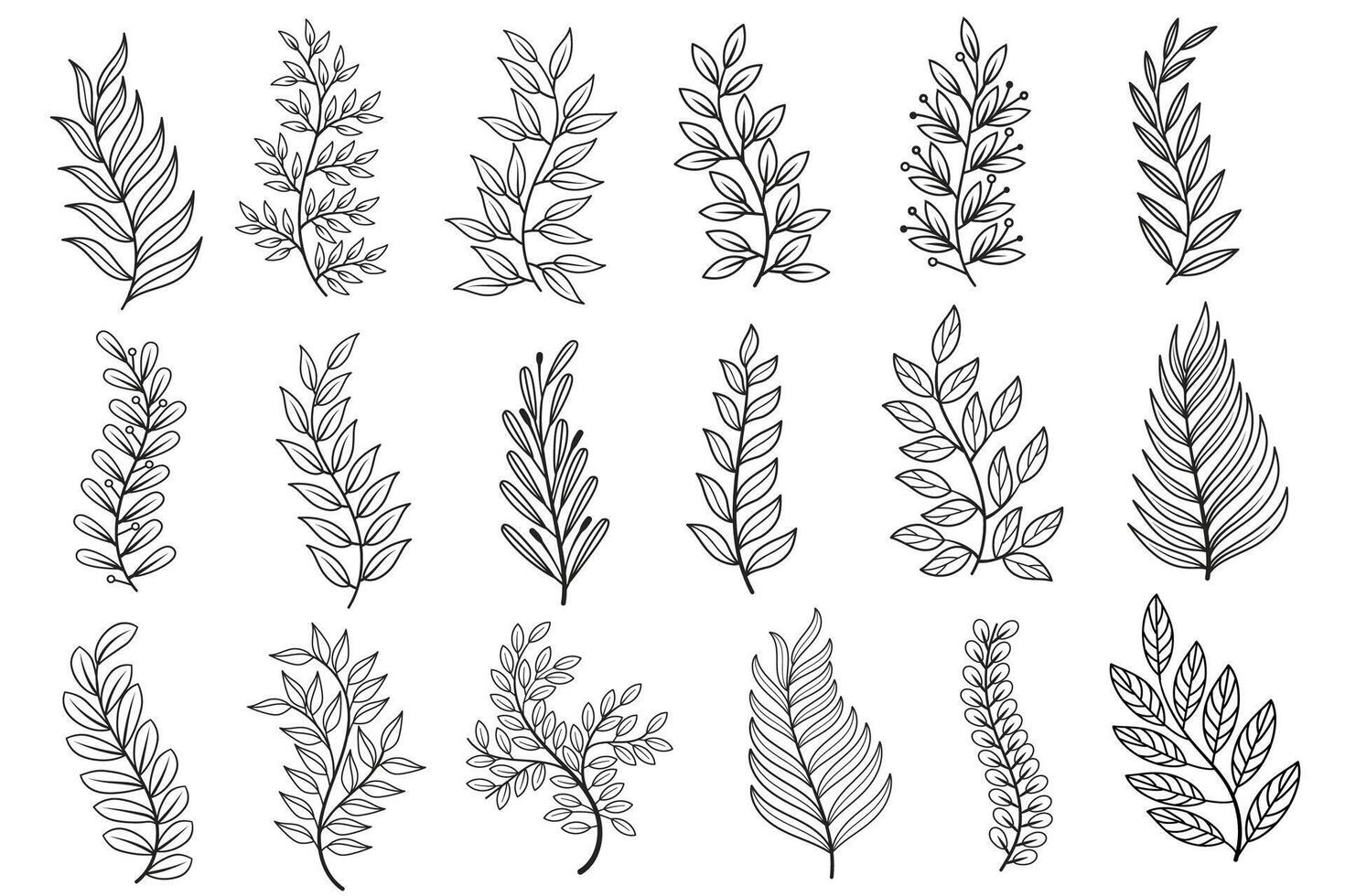 Hand Drawn Leaf Collection Botanical Line Art Set vector