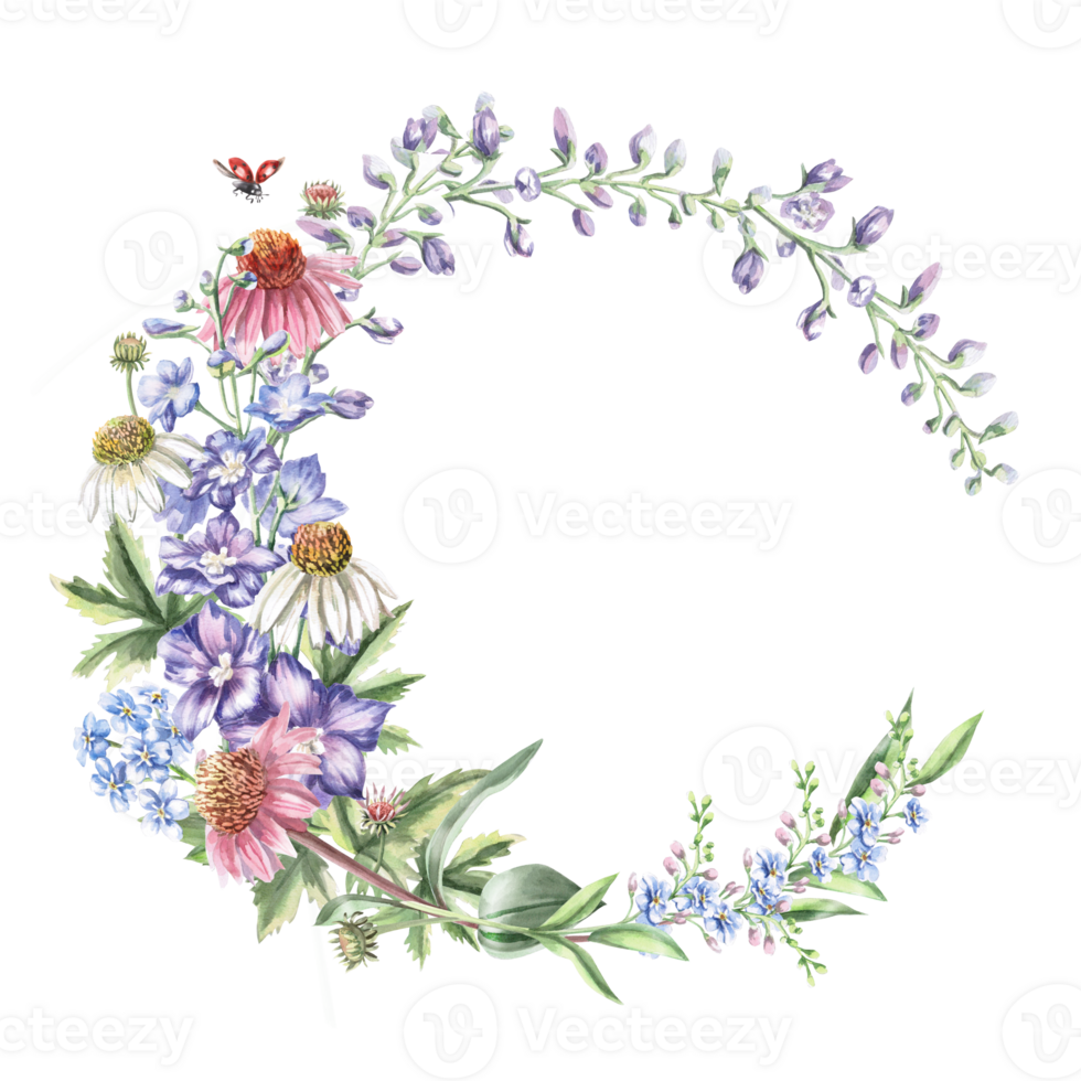 Semicircle frame with delphinium bouquet, echinacea and forget-me-nots and ladybug. Isolated watercolor illustration of garden flowers for design of cosmetic products, printing on posters, clothes png