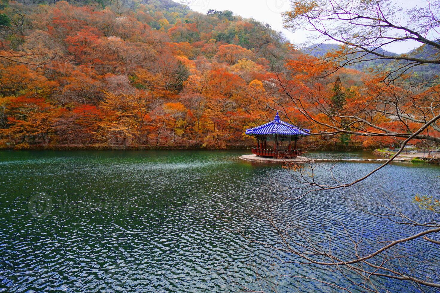 Naejangsan national park in Autumn with colorful foliage with traditional korean pavilion photo