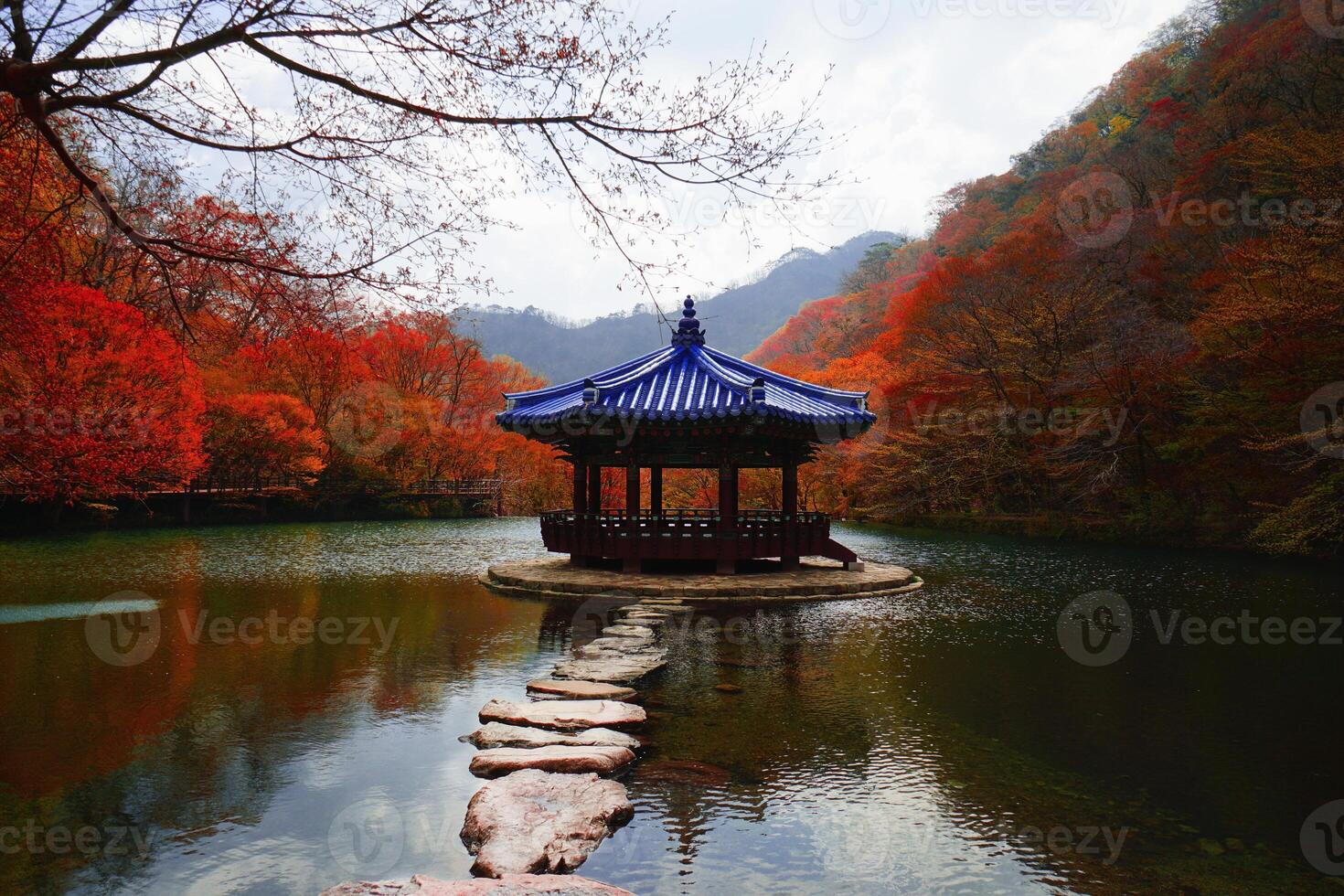 Naejangsan national park in Autumn with colorful foliage with traditional korean pavilion. photo