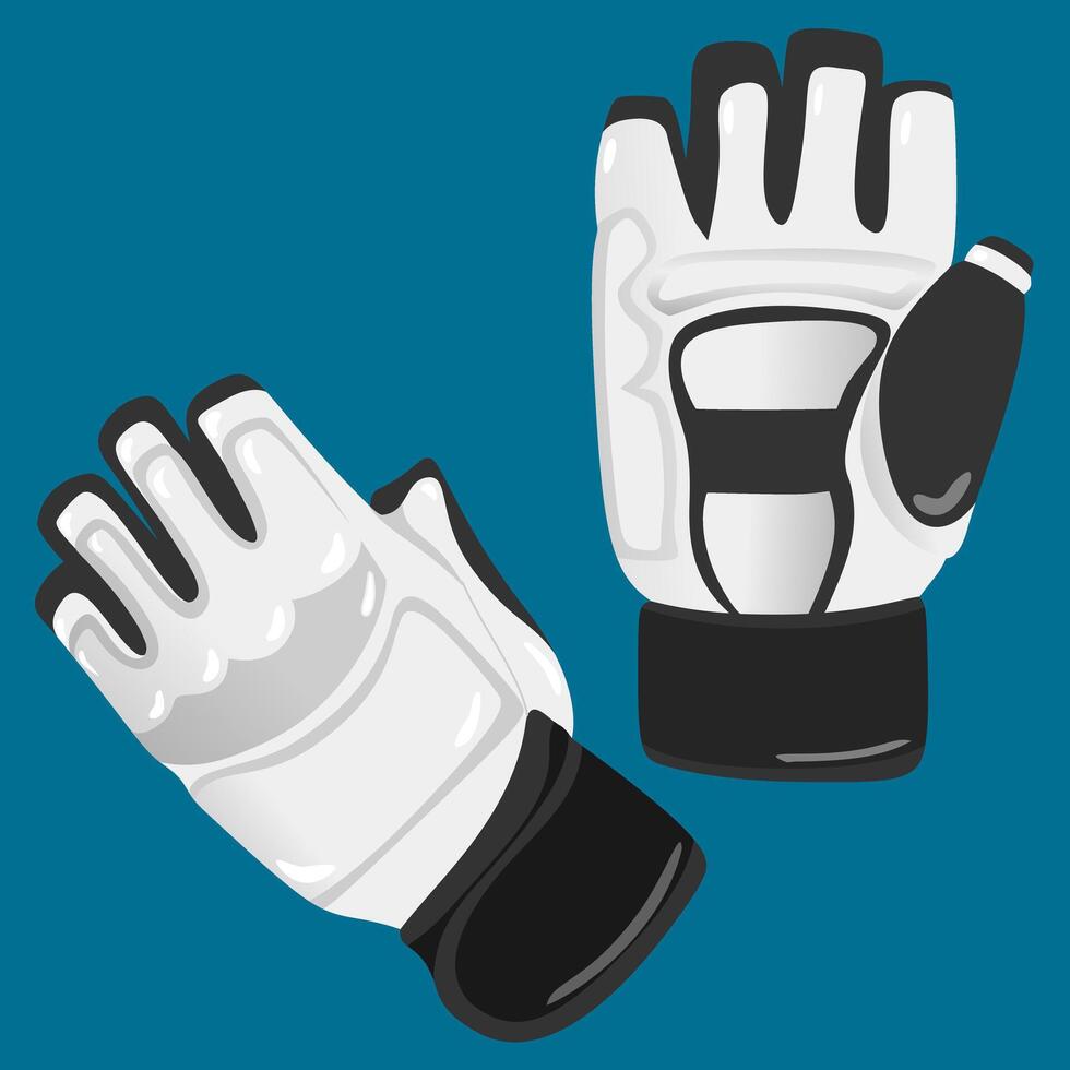 Taekwondo Match Equipment Illustration gloves protector and tosca background vector