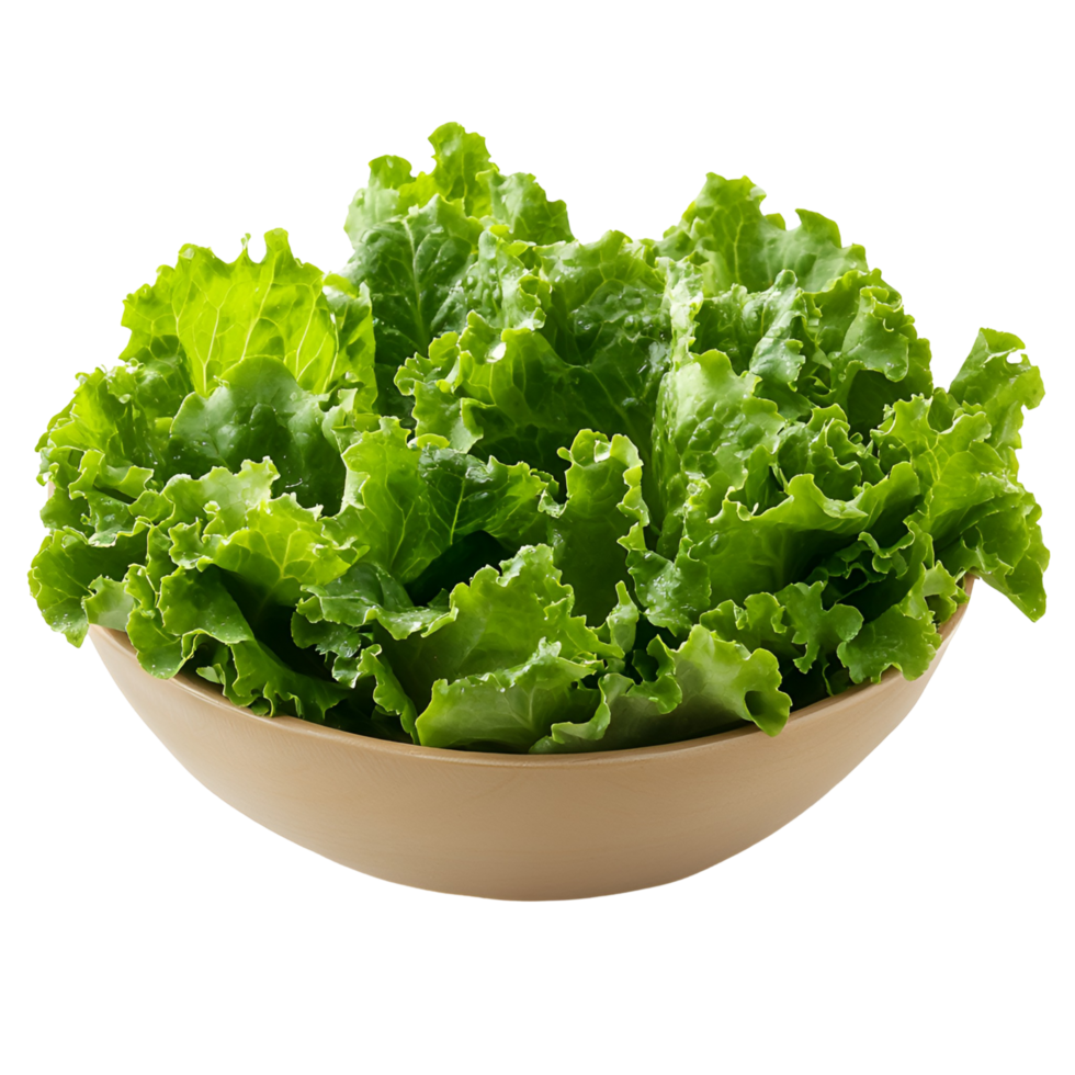Lettuce With A Bow Isolated Transparent Background png