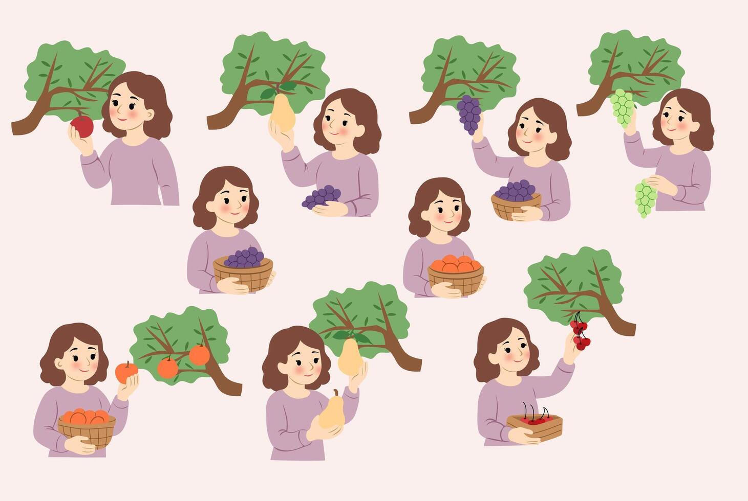 a girl picking fruits vector