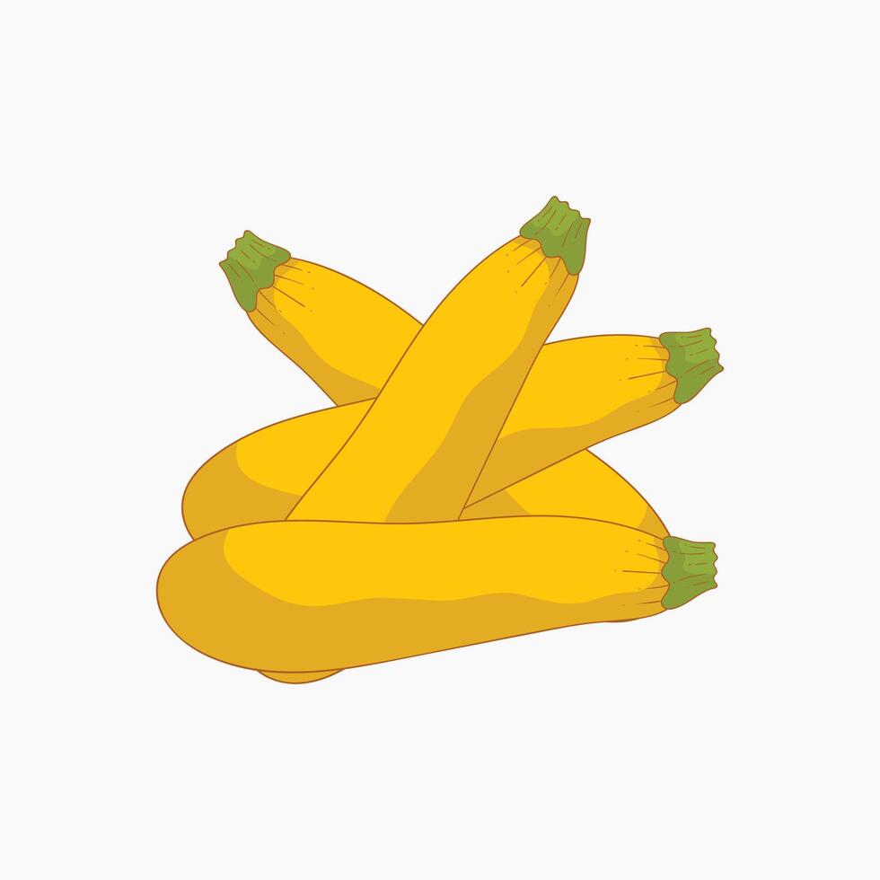 Gold rush squash vegetables flat design cartoon illustration vector