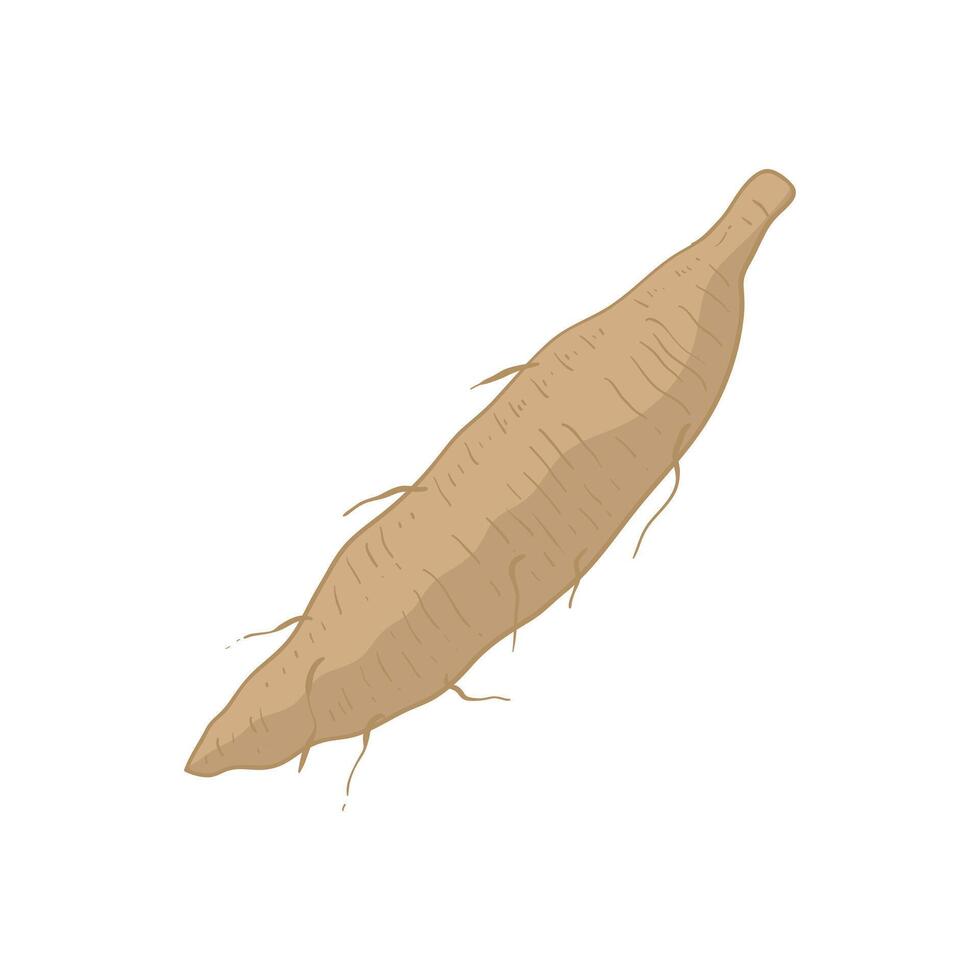 Kudzu root vegetable flat design cartoon icon illustration vector