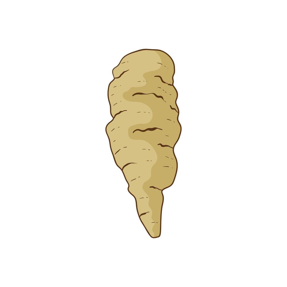 Mashua vegetable flat design cartoon icon illustration vector