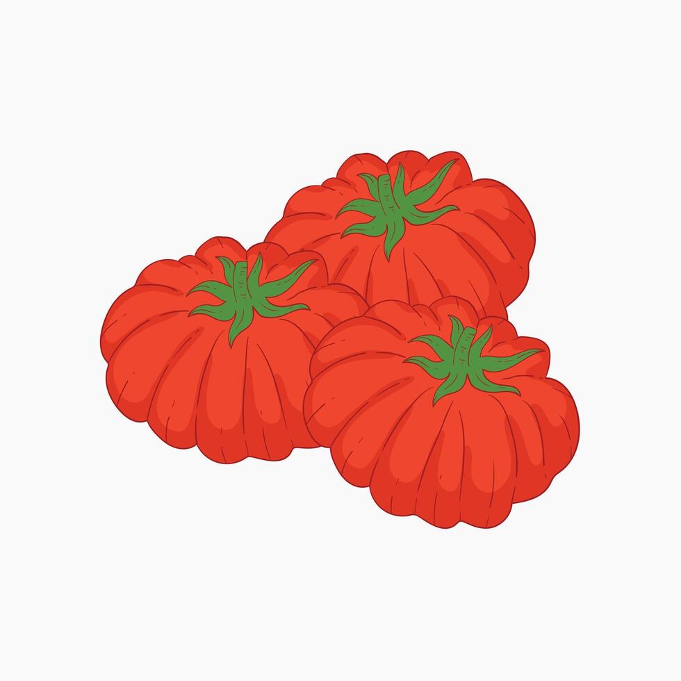 Fiorentino tomato vegetables flat design cartoon illustration vector