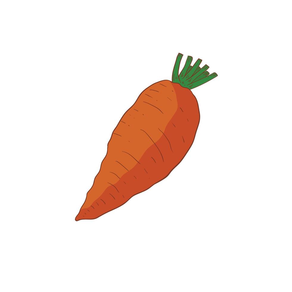 Mangelwurzel vegetable flat design cartoon icon illustration vector