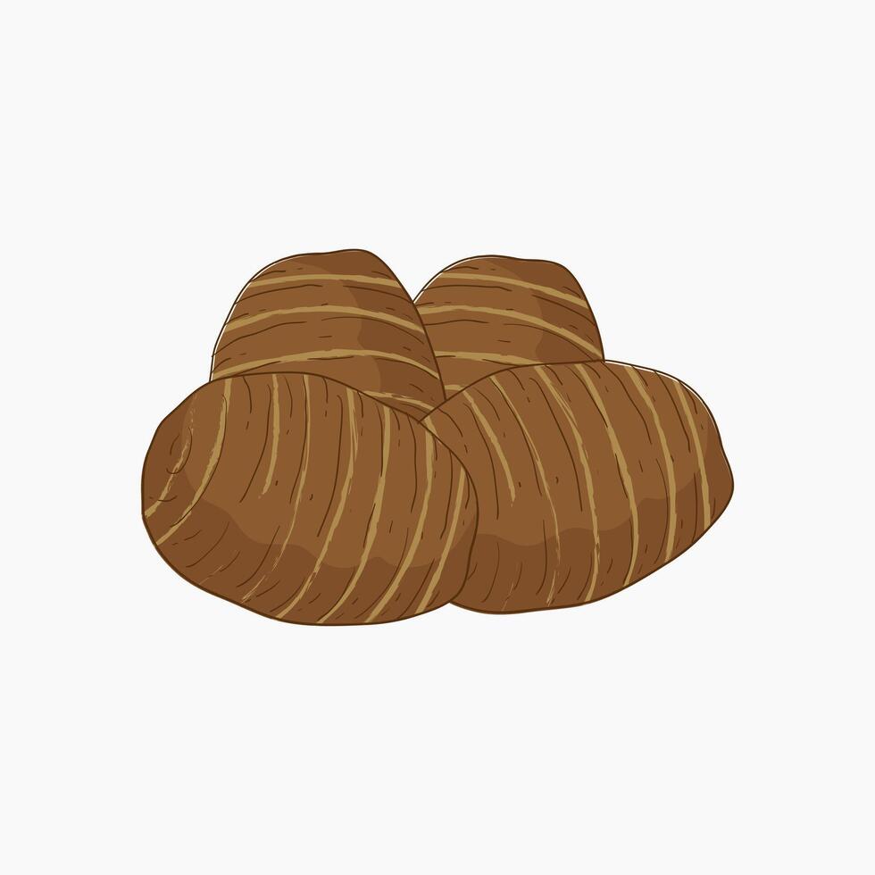 Eddoe vegetables flat design cartoon illustration vector