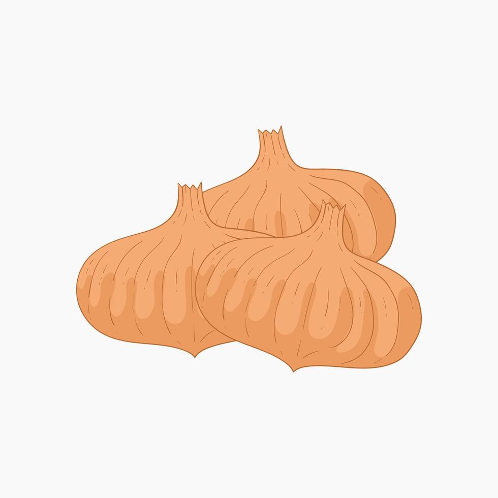Flat italian onion vegetables flat design cartoon illustration vector