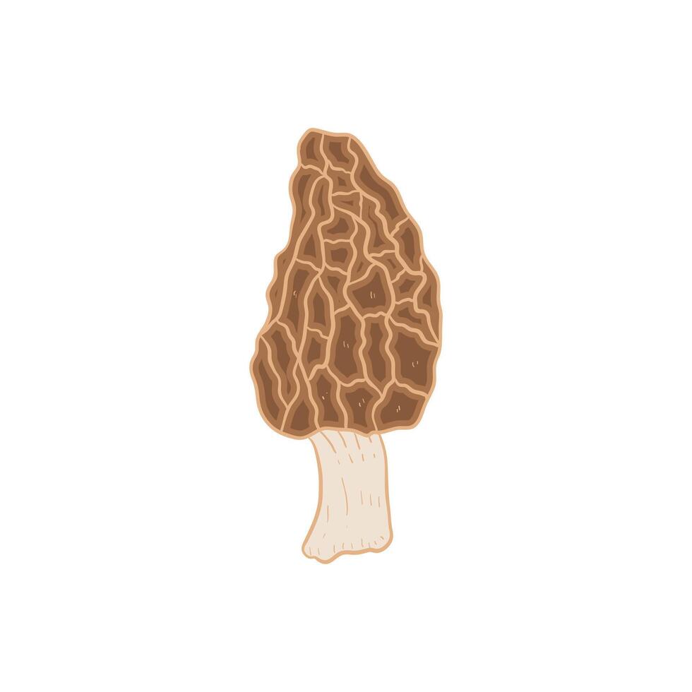 Morel mushroom vegetable flat design cartoon icon illustration vector