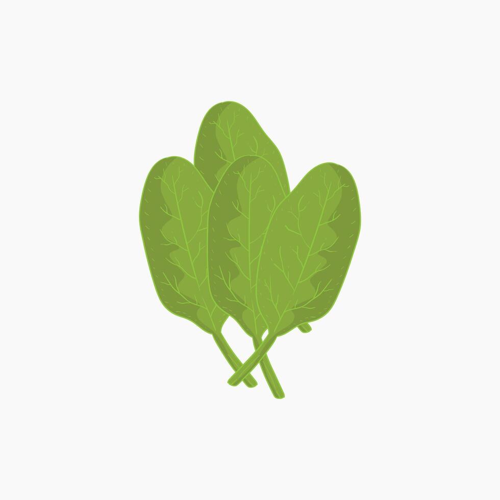 French sorrel vegetables flat design cartoon illustration vector
