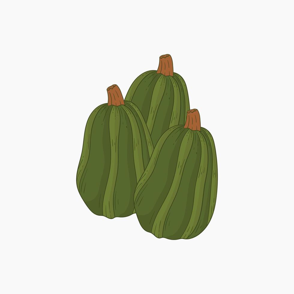Kamo kamo vegetables flat design cartoon illustration vector