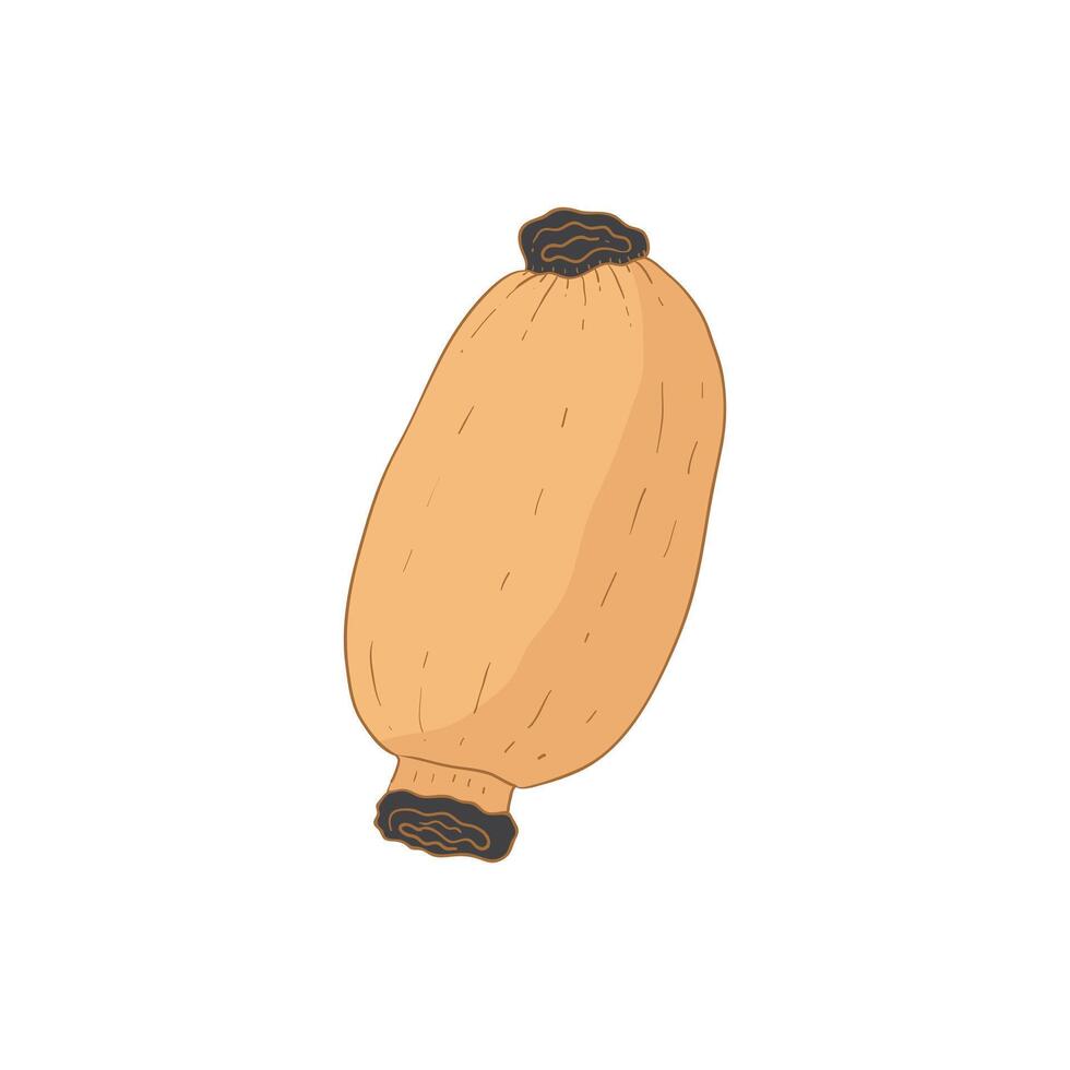 Lotus root vegetable flat design cartoon icon illustration vector