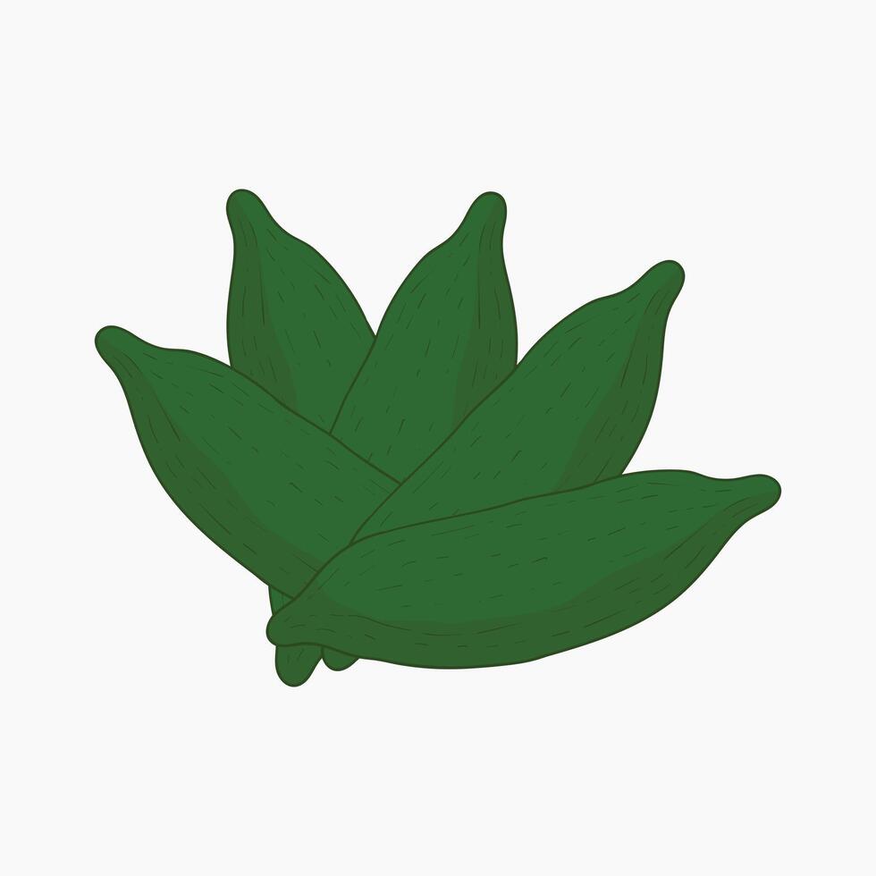 Fingerlimes vegetables flat design cartoon illustration vector