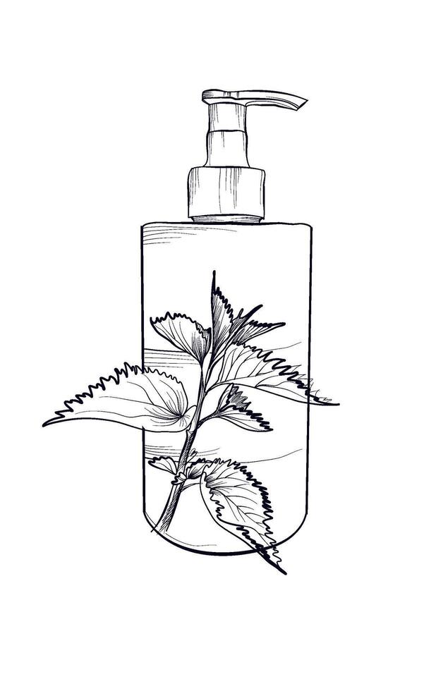 Nettle cosmetic pump bottle with herbal design coloring page vector