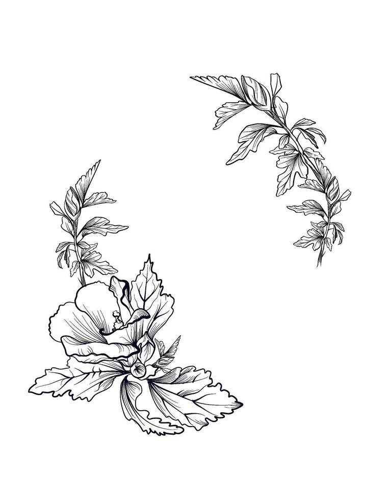 Hibiscus corner floral botanical composition vector
