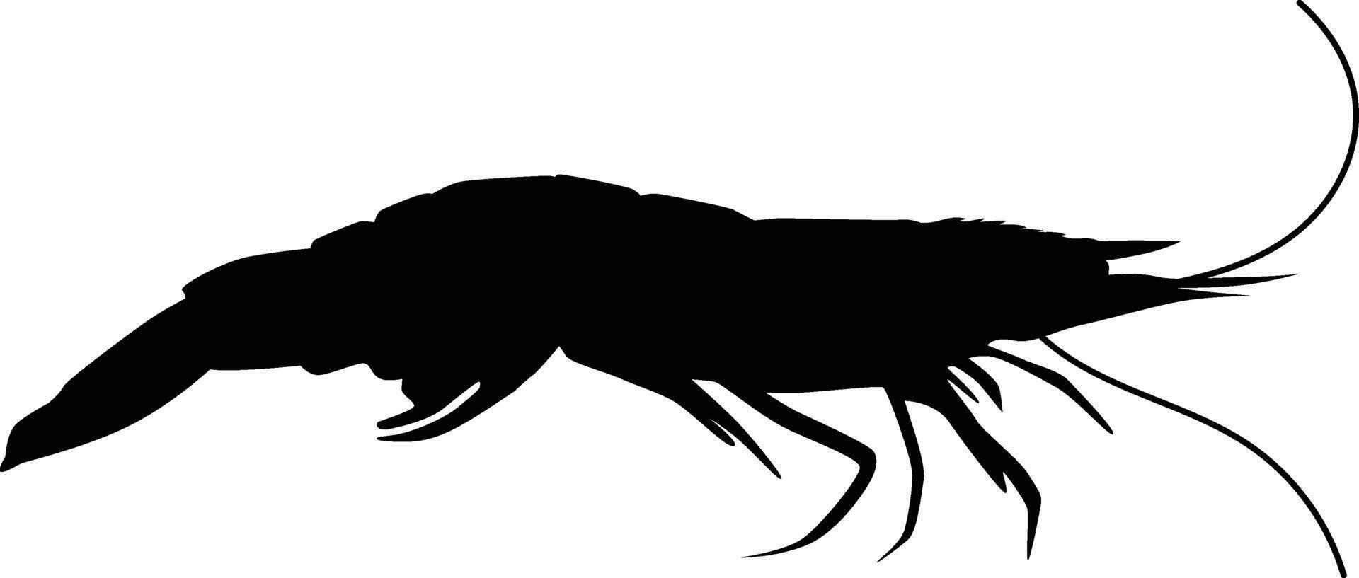 Hand drawn shrimp silhouette illustration. Ocean animal silhouette. vector