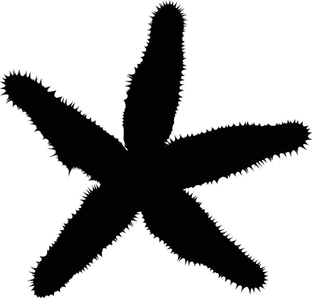 Hand drawn starfish silhouette illustration. Ocean animal silhouette. vector