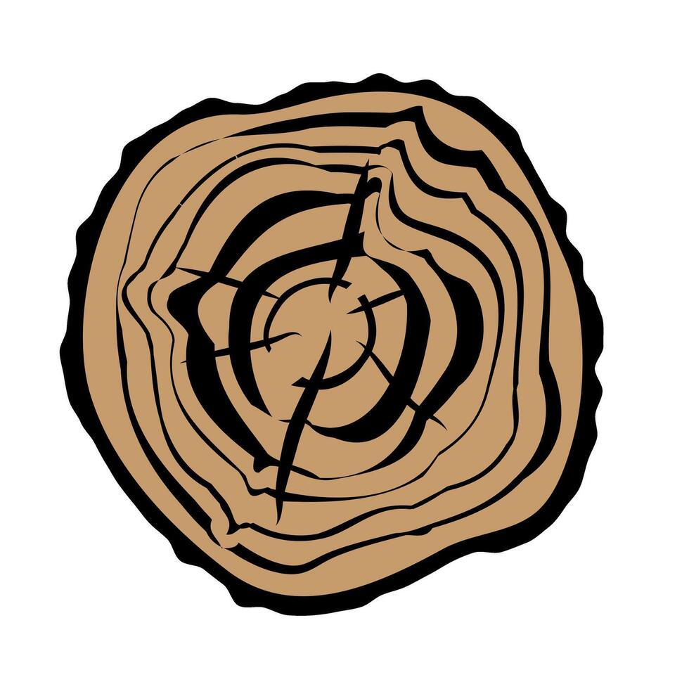 Cross section of tree trunk with annual rings. Tree growth rings. vector