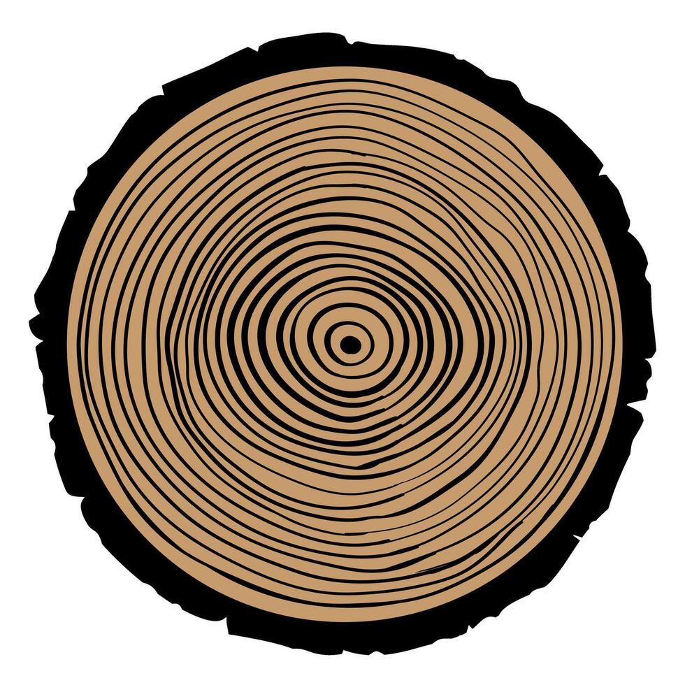Tree rings on a white background. illustration for your design. vector