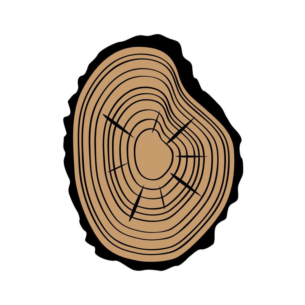 Wooden cross section of a tree on a white background. illustration sign. vector