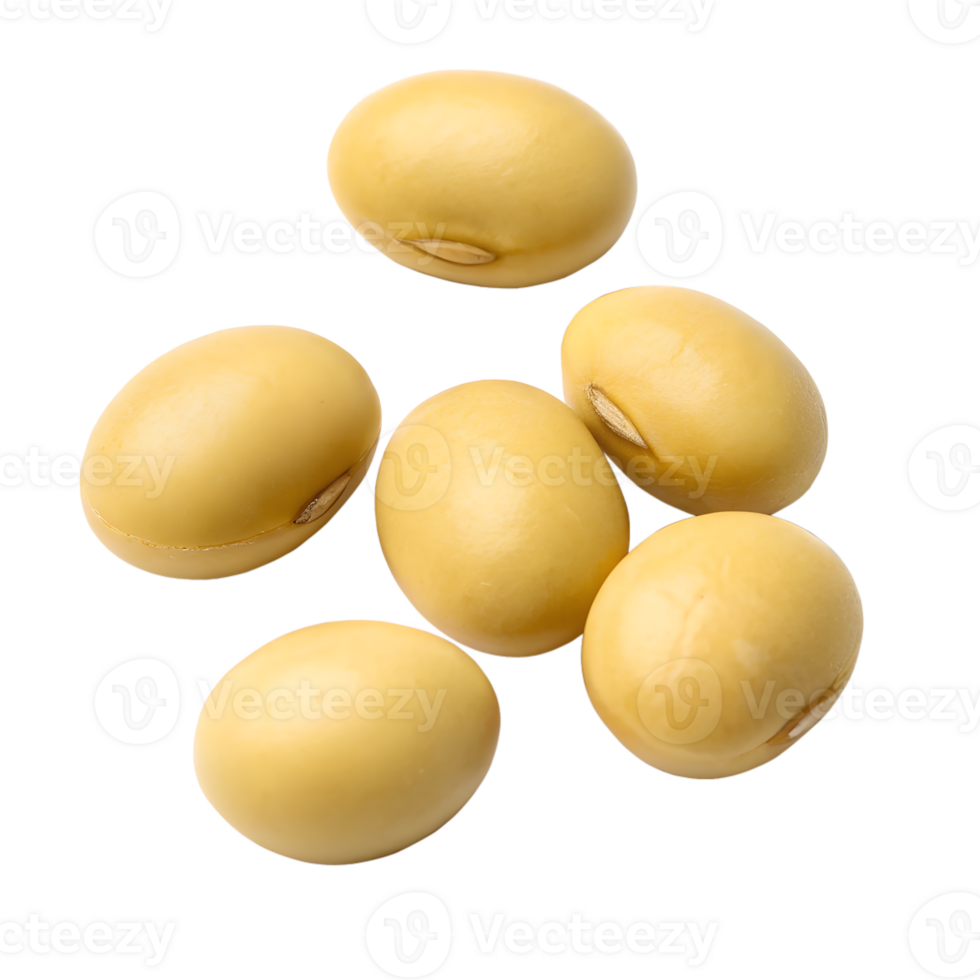 Ginjou Mame, premium-grade soybean, isolated on a transparent background png