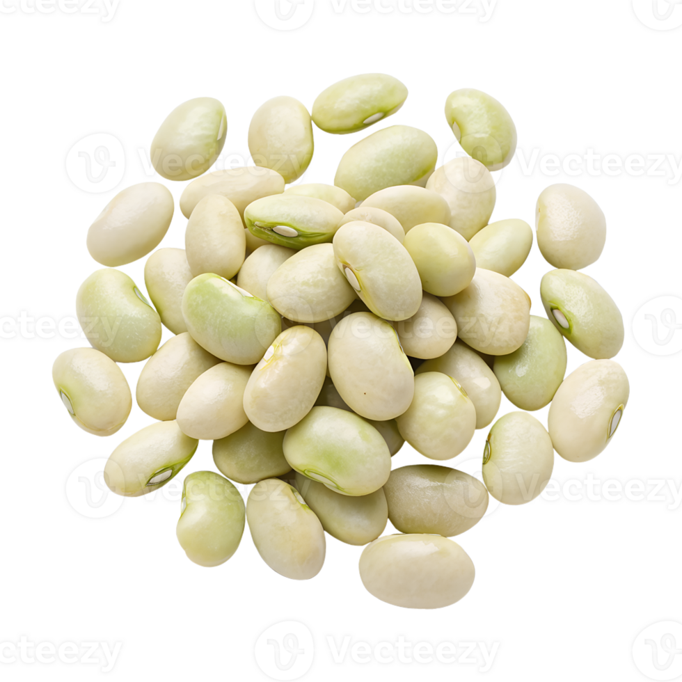 Funasao Mame, boat-shaped beans, isolated on a transparent background png
