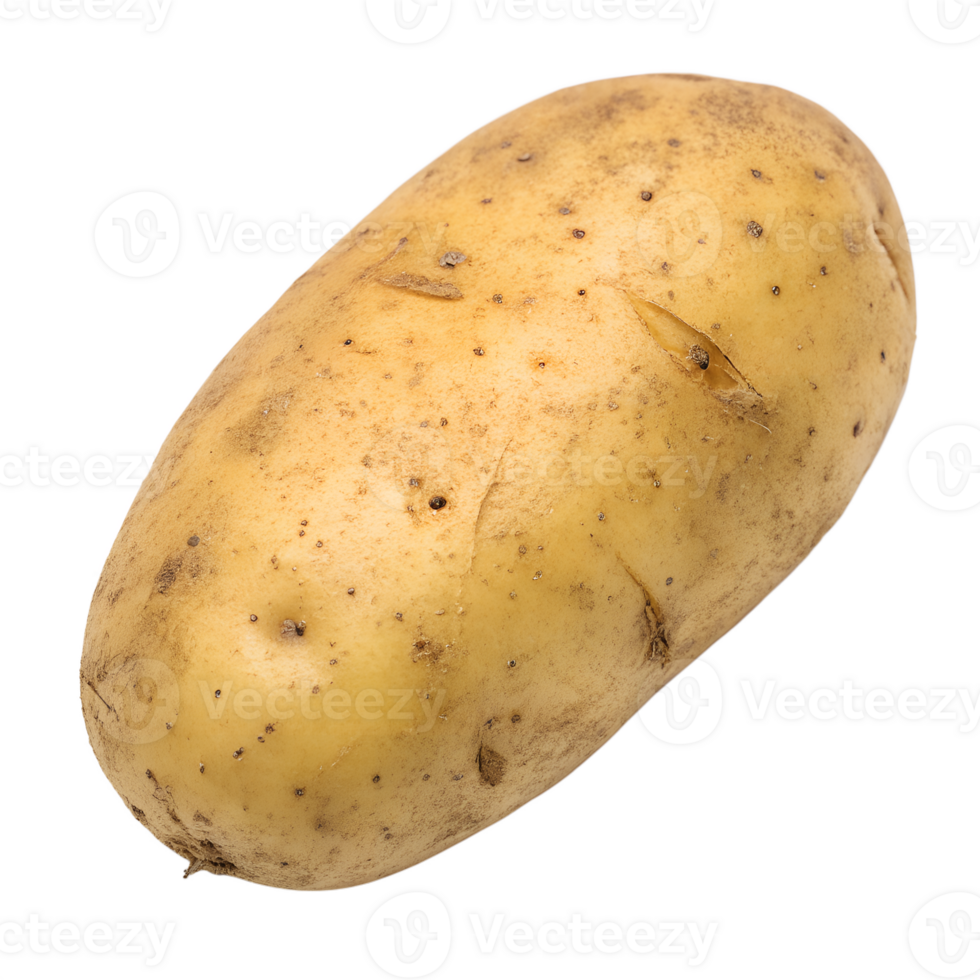 Top view, Tarugome, mountain potato variety, isolated on a transparent background png