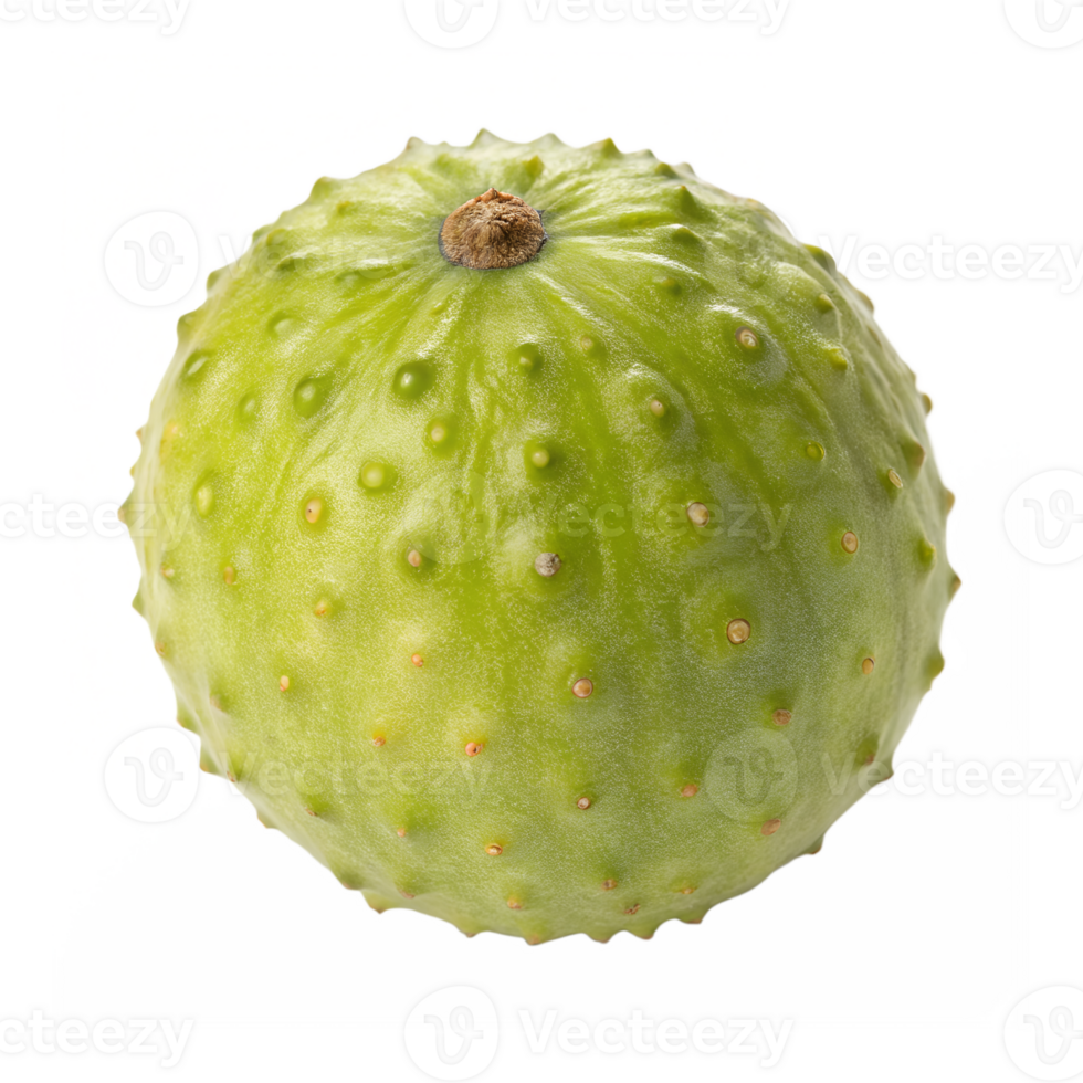 Shikuwasa, used in Okinawan cuisine, isolated on a transparent background png