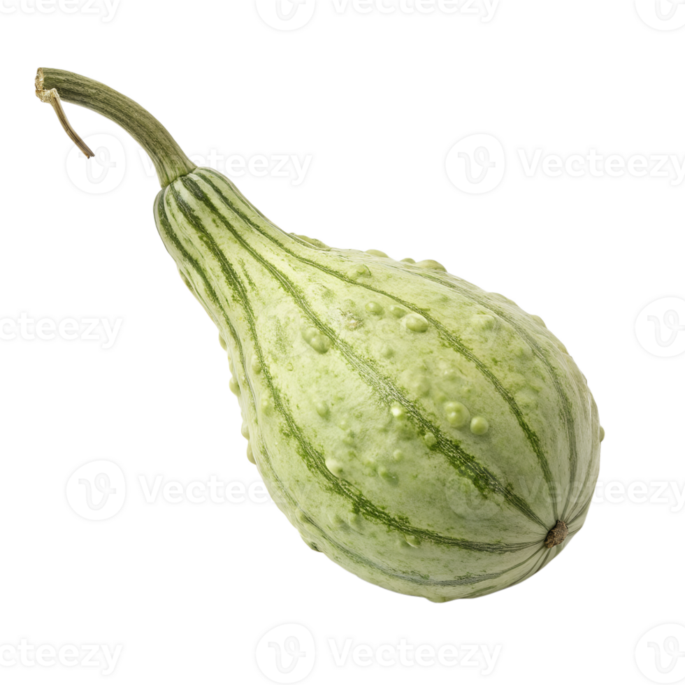 Awa Uri, foxtail gourd, isolated on a transparent background png