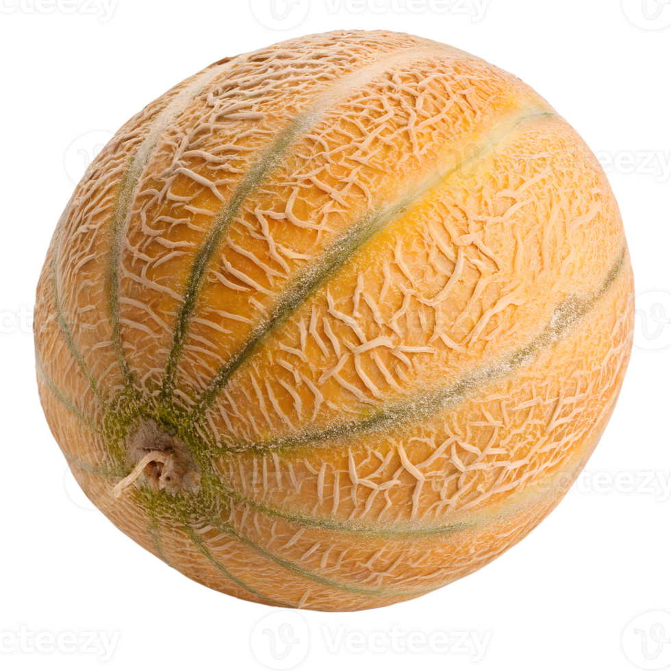 A whole cantaloupe melon with a rough, ribbed, orange skin, isolated on a transparent background png