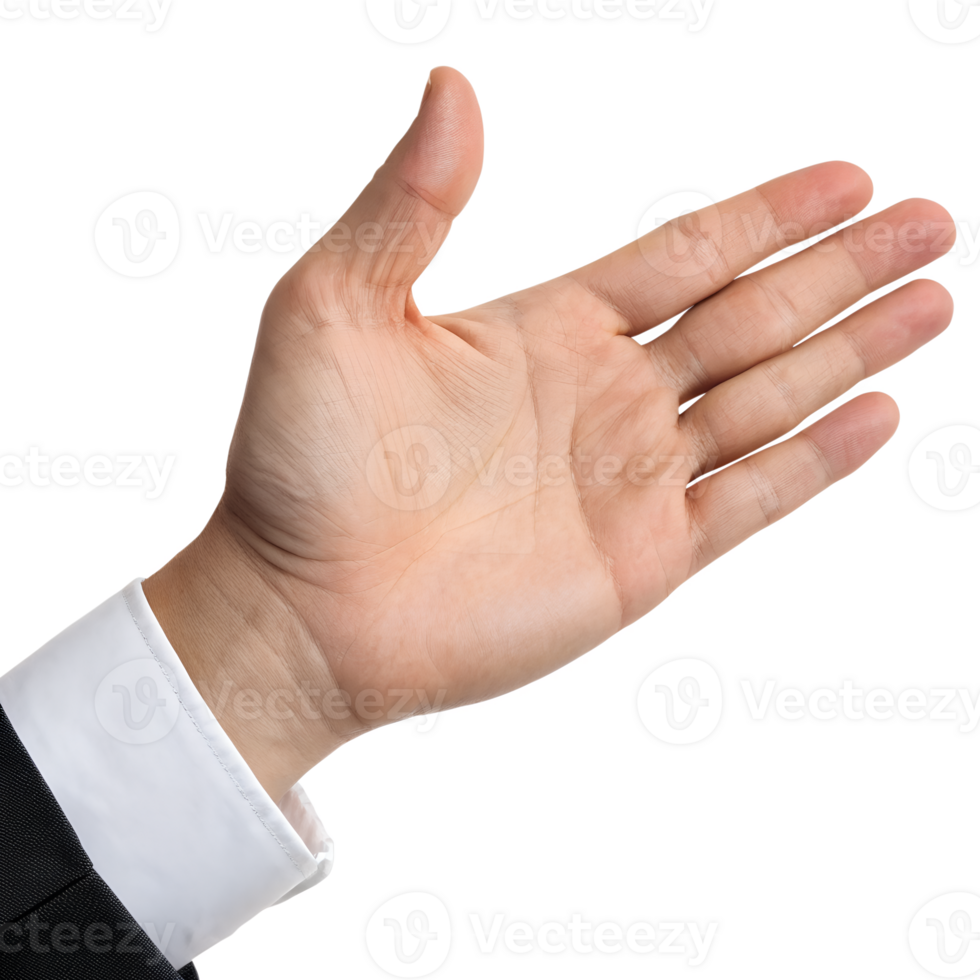 A light skin hand with a white cuff and a black suit sleeve, in a transparent background png