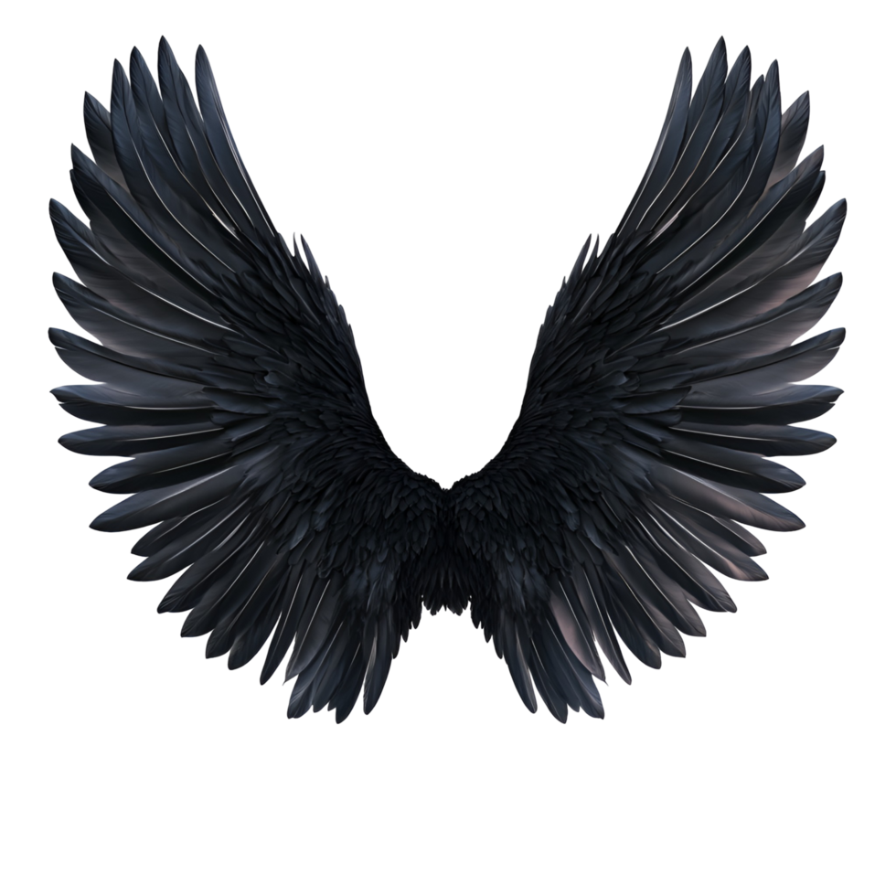 Angel With Spread Black Wings Transparent Background png