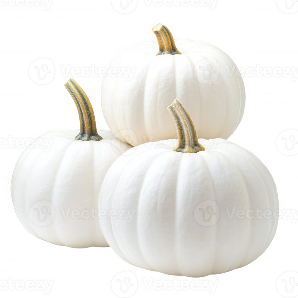 Three small white pumpkins forming brown stems with a pyramid background are isolated on a transparent shape png