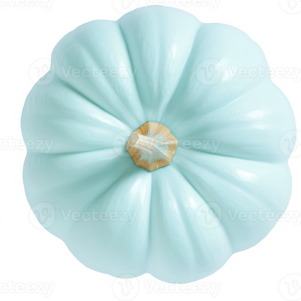 Studio a of autumnal pastel blue pumpkin isolated on transparent background, perfect for shot projects png