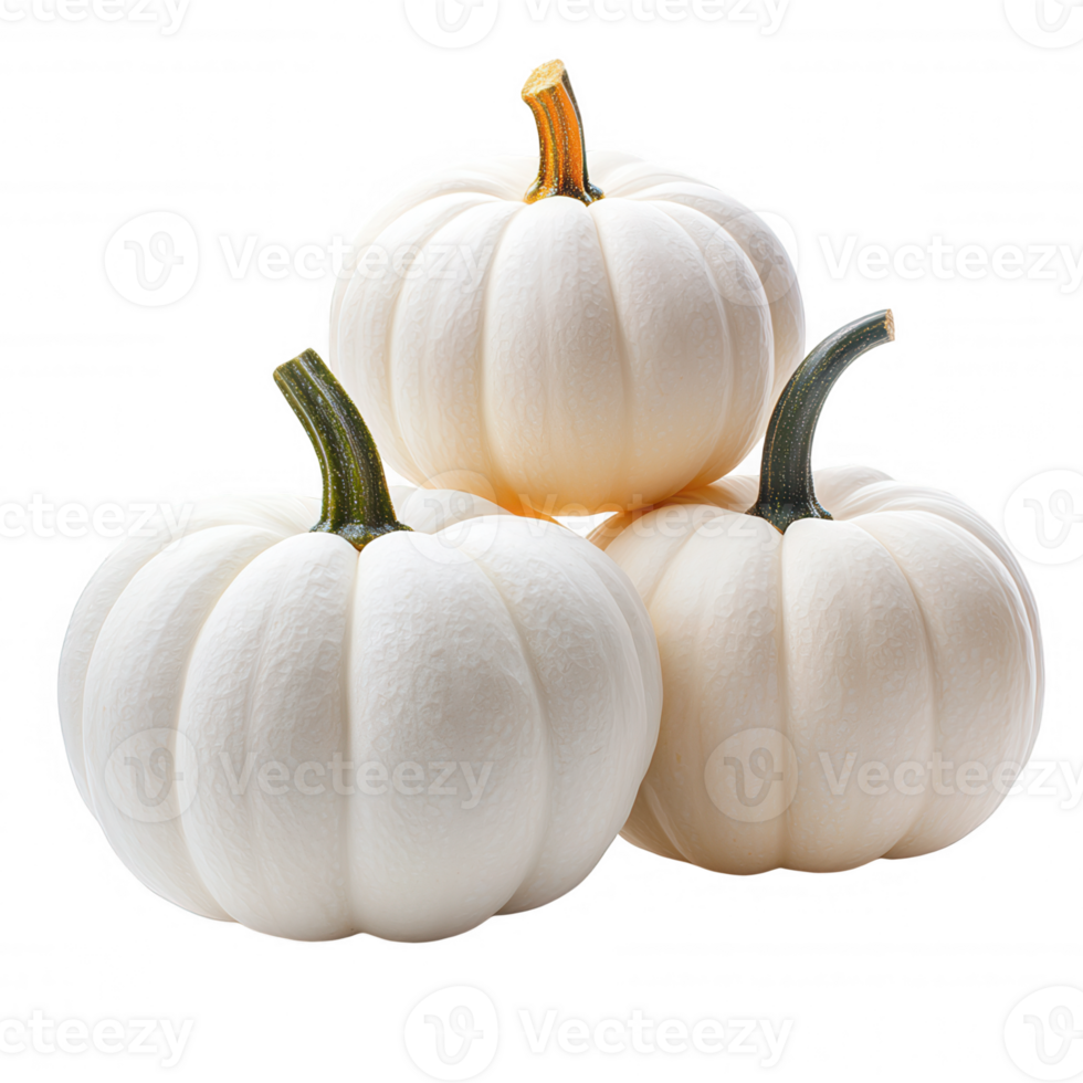 Three small white pumpkins with brown stems shape a pyramid forming are isolated on a transparent background png