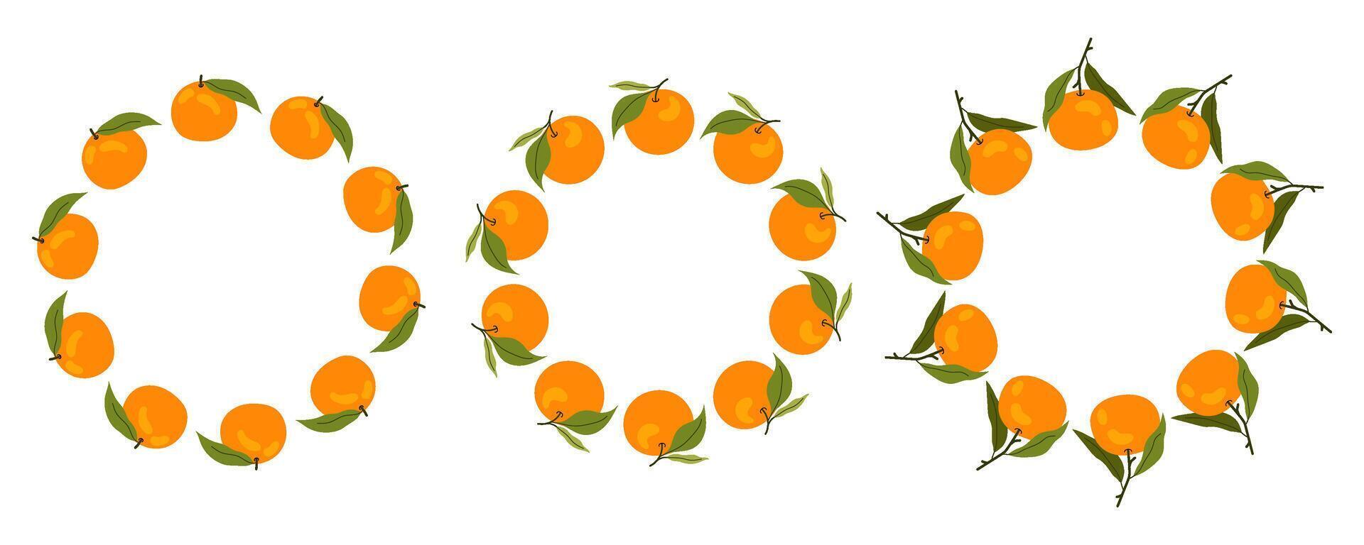 Set of tangerine frames. Tropical fruit circle border. Space for text. For card, invitation, wedding, birthday and other holiday. vector