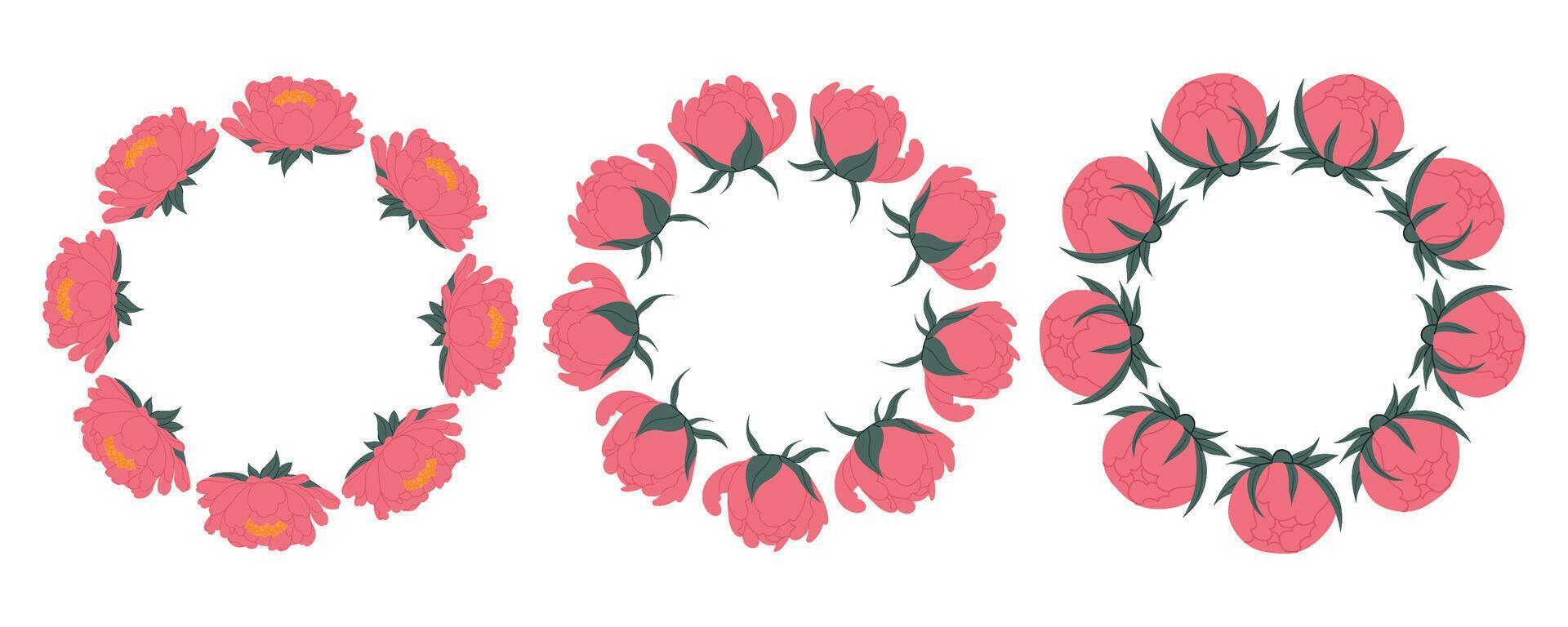 Set round peonies borders for design and decoration. Cute flower frames. For invitations, packaging, spring or summer cards. vector